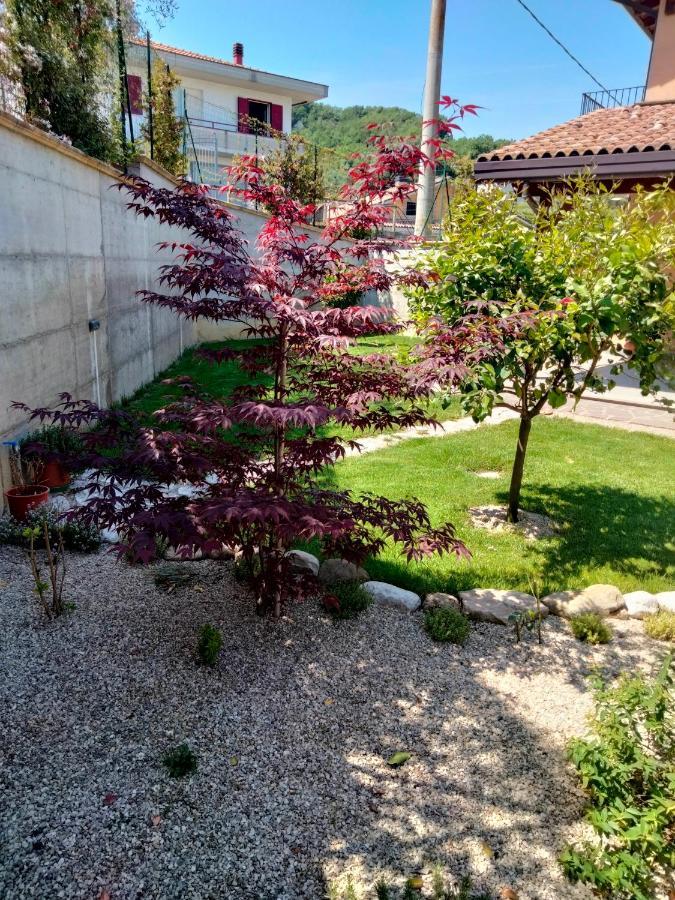 B&B La Casa Di Giuliana Cermignano Ngoại thất bức ảnh